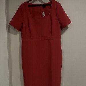 Ann Taylor Paprika Colored Shift Dress